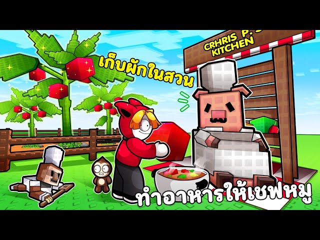 เก็บผักในสวน ทำอาหารให้เชฟหมู | Grow a Garden Roblox