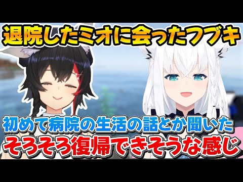 退院したミオしゃに一足先に会ってミオニウムを摂取してきたフブちゃんｗ【ホロライブ/白上フブキ/大神ミオ/切り抜き】