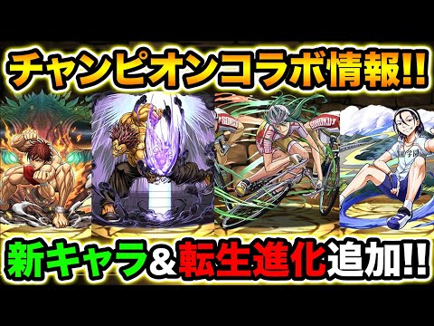 新キャラ＆転生進化追加！範馬勇次郎がすんごい！チャンピオンコラボ性能詳細！【スー☆パズドラ】
