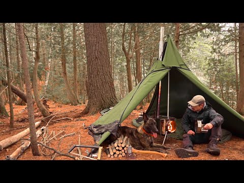 Late Fall Overnight Camping Trip With my Dog in a New Canvas Tent with Woodstove