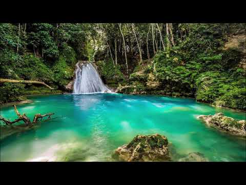 African Son - Native Land (Wiildlife Music)