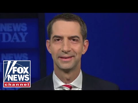 Tom Cotton: Senate will move forward 'without delay' on Ginsburg successor Tom Cotton: Senate will move forward 'without delay' on Ginsburg successor