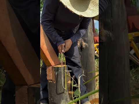 30 de outubro de 2025