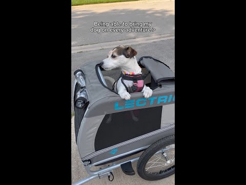 Wag-Along Pet Trailer