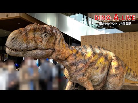 【4K】DINO-A-LIVE 北陸デスティネーションキャンペーン 福井PRイベント in JR仙台駅／DINO-A-LIVE Fukui PR Event in JR Sendai Station