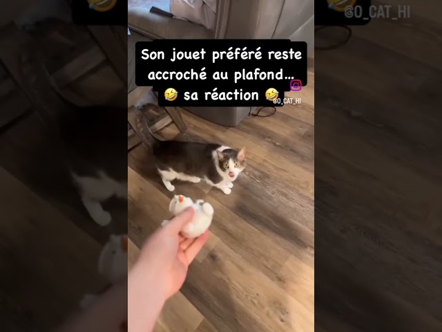 sa m'as fait d