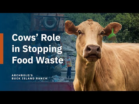 Part 4: Cows and Upcycling | Understanding the Carbon Cycle on a
Cattle Ranch