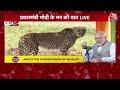 PM Modi Mann Ki Baat: वन्य जीवों के सरंक्षण को लेकर PM मोदी ने लिया बड़ा फैसला, जानें क्या | Latest  - 07:28 min - News - Video