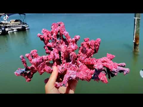video ARK Branching Reef Rock-COMING SOON-