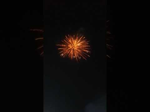 Diwali Celebration 🎇🎇#diwali #diwalispecial #celebration #happydiwali #festival #trending #viral #yt