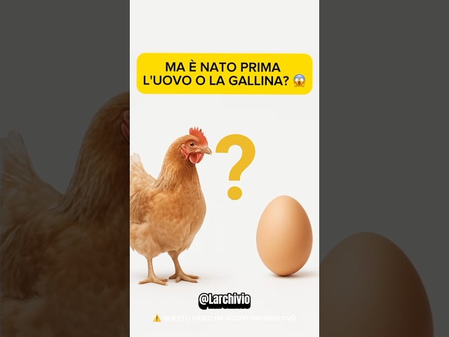 MA È NATO PRIMA L'UOVO O LA GALLINA? 😱 #curiosità #informative