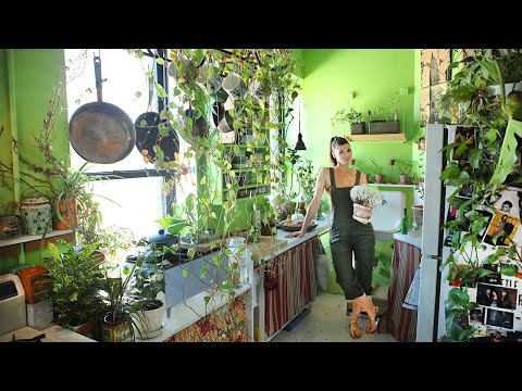 Женава чува 500 билки во својот стан во Њујорк