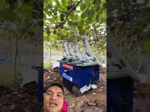 Máy Hái Quả KiWi #farming