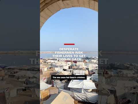 Desperate fishermen risk their lives to get food in Gaza