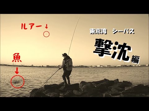 つりきちちゃんねるの最新動画 Youtubeランキング