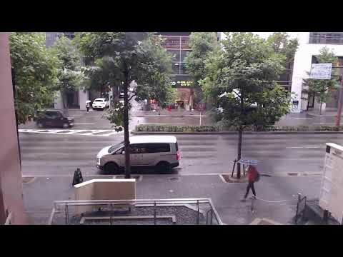 【京都ライブカメラ】京都市中心部・烏丸通の様子（京都市中京区）Live view of Karasuma Street in front of the Kyoto Shimbun