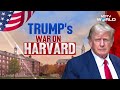 Harvard Trump News | NDTV At Harvard: Global Scholars Share Their Struggles  - 0 min - News - Video