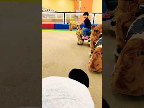 犬の動画サムネイル - 【まてまて〜🦒パンダがキリンを追いかける💨】#panda #giraffe #animals #kidsplay #shorts #youtubeshorts