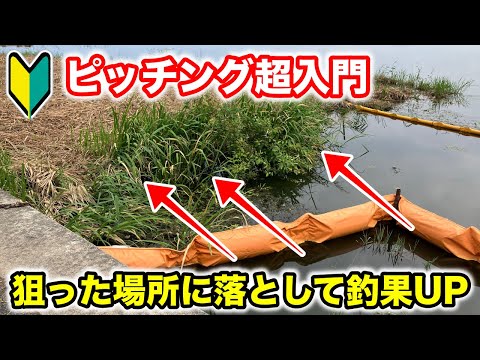 【バス釣り】簡単にできるピッチングのやり方のコツをゆっくり解説