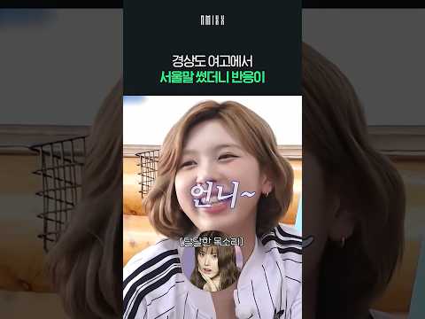 배이가 경상도 사투리와 서울말의 차이를 알아버린 순간