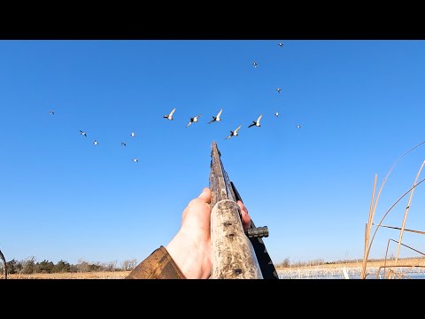 Solo Kayak Duck Hunting | Mixed Bag During The Reverse Migration