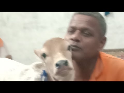 Gaon Ki Zindagi is live!