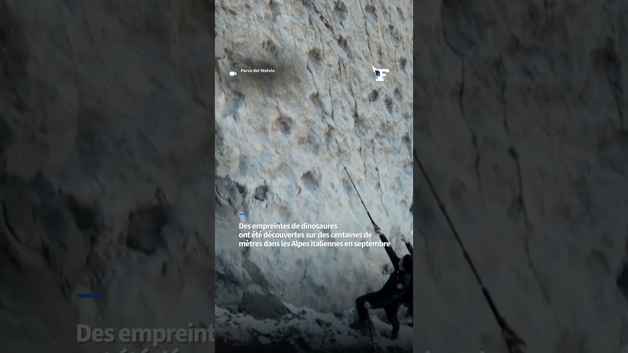 Italie: les images spectaculaires de milliers d’empreintes de dinosaures découvertes sur des parois