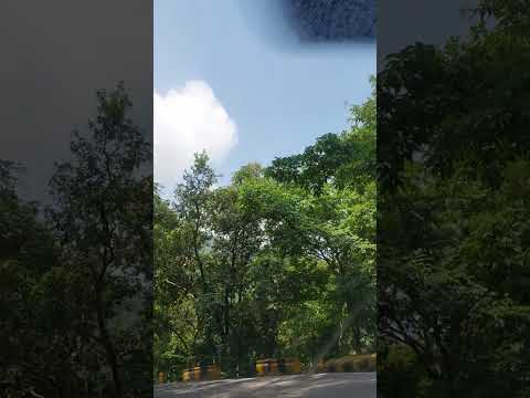 #manali #travel #shortvideo