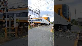 踏切を通過する近鉄特急！ #撮り鉄 #train #鉄道 #踏切