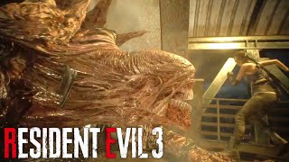 【VTuber】バイオハザード RE:3 | Resident Evil 3 Remake #6