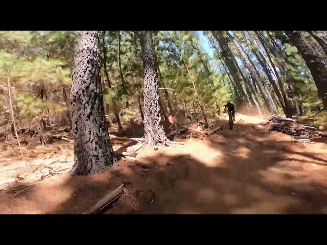 Onboard - Beaux Hough
Supported by - Humble Bicycle Co.
Trail - Rocket Rock
Venue - Linga Longa Bike Park, Western Australia

We forgot how fun this trail is! Rocket Rock is a fast descent meandering through pine trees and incorporates a few timber drops and a creek gap sender!
Hand-cut goodness before joining mini-Skywalker and finishing with some park-style fun!