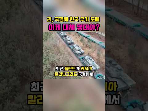 러시아 국경에 K2, K9으로 <strong>도배한</strong> 유럽