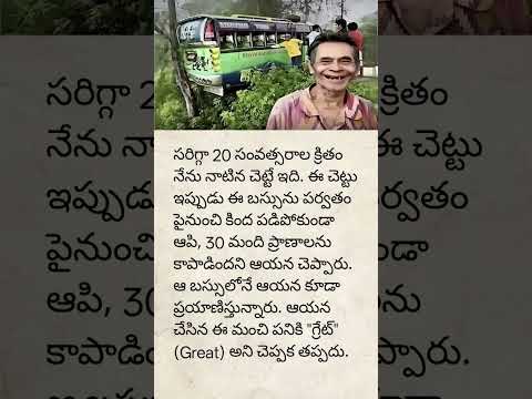 A tree saved a 30 lives in road accident #nature