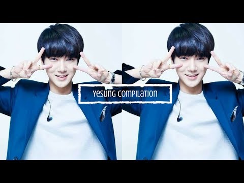 Yesung Compilation