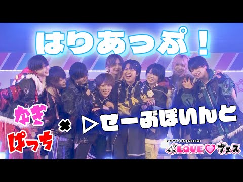 ▷せーぶぽいんと × パンダドラゴン ｰ はりあっぷ！ @ パLOVE♡フェス