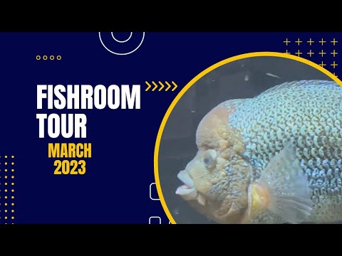 Fishroom Tour March 2023 Check out this fish room tour for March, 2023.  

At Brian's Fish Tanks and Aquatic Support Systems,