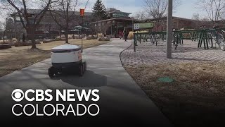 Robots are now making deliveries on the campus of Colorado State University