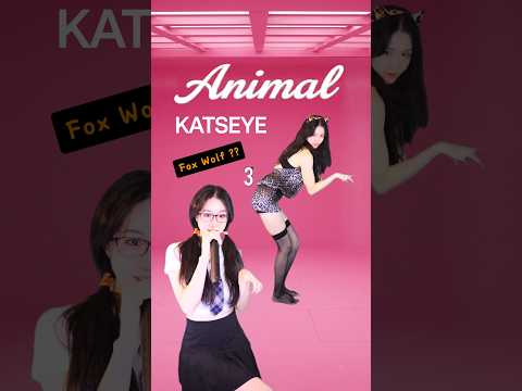 KATSEYE "Animal" Cover by Fox-Wolf? 💕  캐츠아이 애니멀 커버. 여우늑대 버전