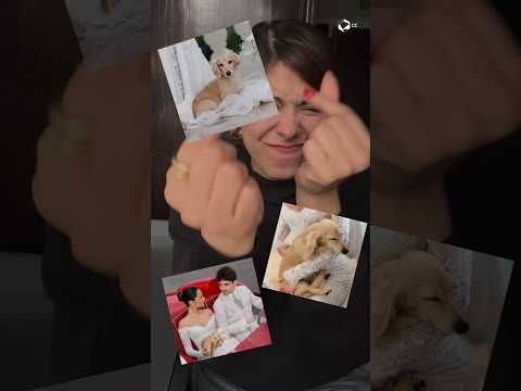 No estamos soportando la ternura de Leo Leclerc.🐶 #viral #charlesleclerc #wedding