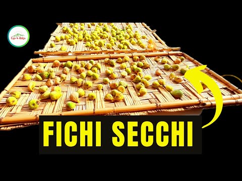 Fichi Secchi - ECCO Come ESSICCARE I FUCHI AL SOLE?