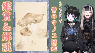 【#らでたんご コラボ】学芸員＆スペシャルきのこマイスターによる昔のキノコ図鑑鑑賞会【奇ノ駒たんご/儒烏風亭らでん】