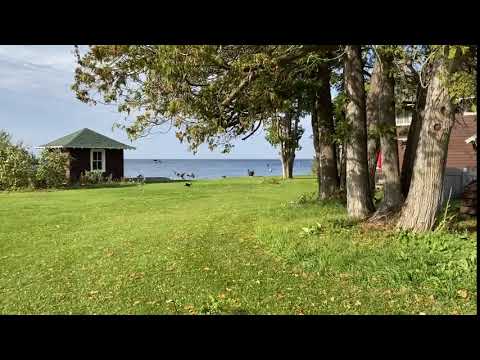 Property video