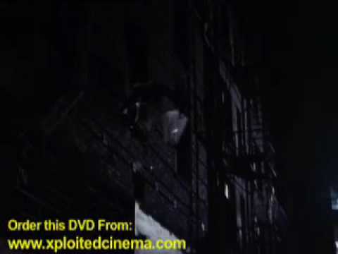Maniac Cop 2'