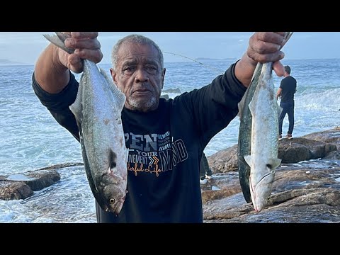 PESCA DA ANCHOVA AO VIVO EM GAROPABA