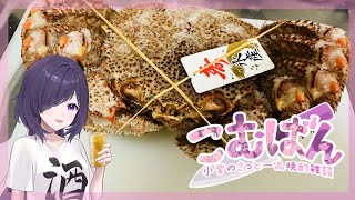 【VTuber】めちゃでか毛ガニを捌いていくぅ🦀　#001 こむばん🍶　小紫のさっと一品晩酌雑談配信📺　※概要欄見てね