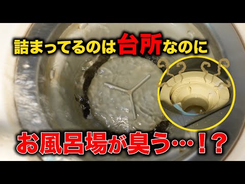 台所詰まり？と思ったらお風呂場から下水の臭い！！排水管にはデロデロMAX？？【花のお掃除 #343】