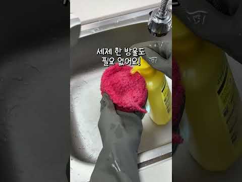 이것까지 지워진다구...?(세제도 안 묻혔는데...)
