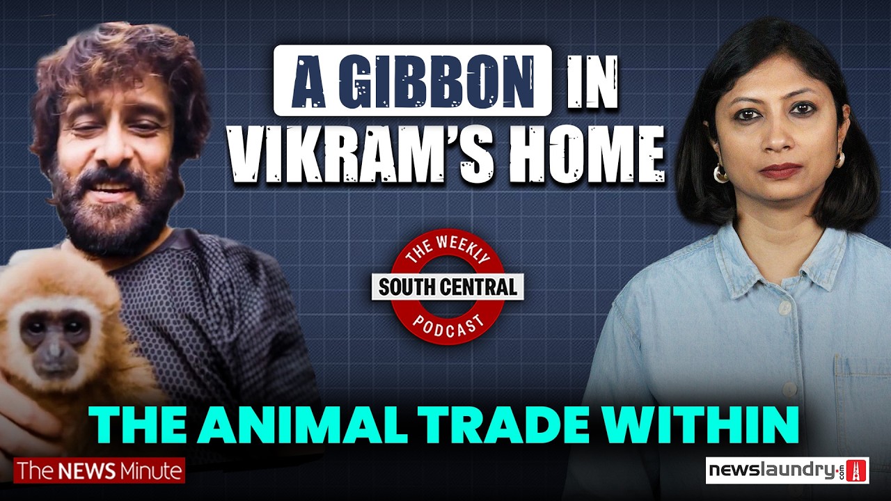 Vikram’s Lar Gibbon video and TN Speaker’s anti-abortion speak | South Central 88