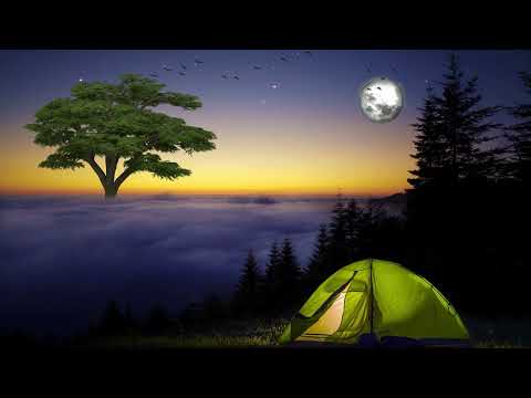 睡眠用bgm 疲労回復 ・リラックス音楽 ！本物のスペシャルBGM ・瞑想、音のパワースポット《金運 恋愛運 ソルフェジオ周波数528hz》#005