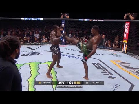 Лучшие моменты турнира UFC 276: Адесанья vs Каннонир